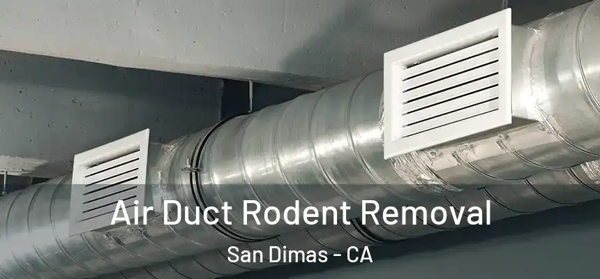  Air Duct Rodent Removal San Dimas - CA