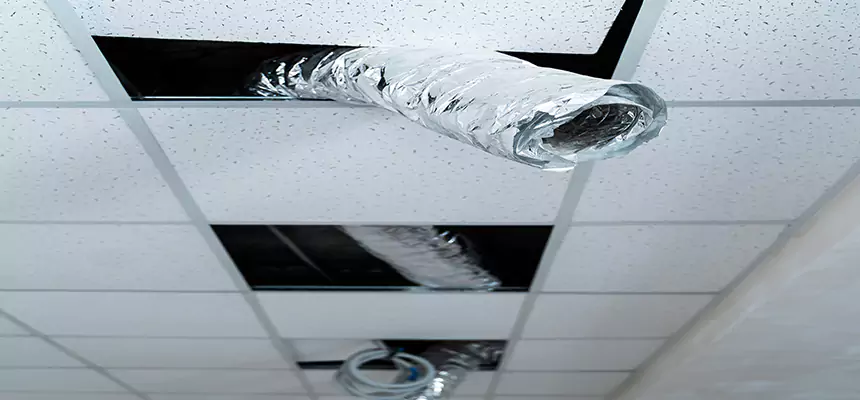 Our Air Duct Pet Hair Removal Services in San Dimas, CA