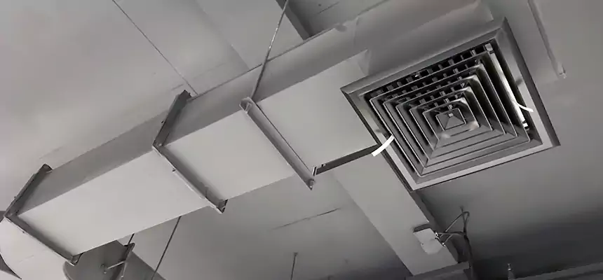 Restorative Allergy Relief Vent Cleaning – Coil, Blower & Housing Detail in San Dimas