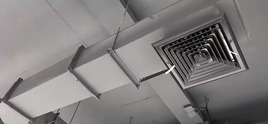 Our Pest Removal From Ducts Services in San Dimas, CA