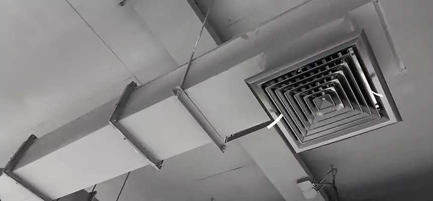 Our Rodent Droppings In Vents Services in San Dimas, CA