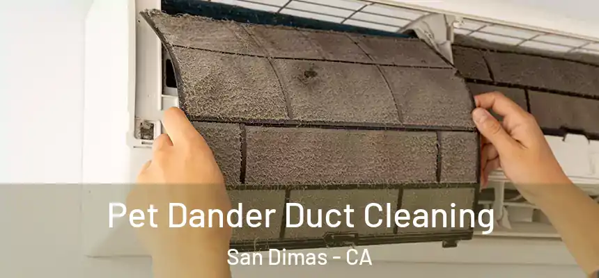 Pet Dander Duct Cleaning San Dimas - CA
