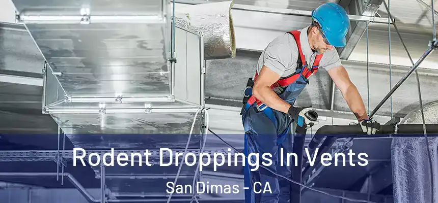  Rodent Droppings In Vents San Dimas - CA