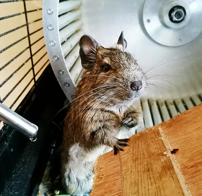 Why Homeowners & Businesses Trust Us San Dimas, CA?