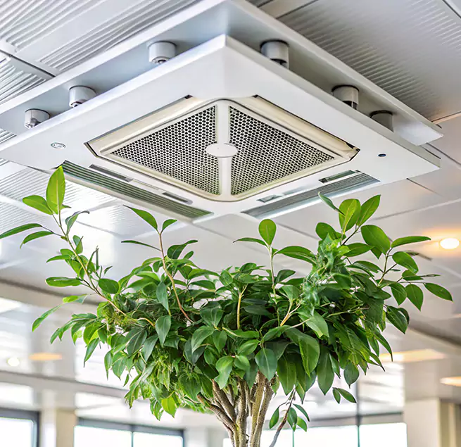 Why Homeowners & Businesses Trust Us in San Dimas, CA?